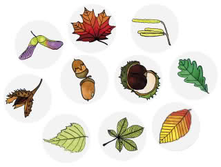 Naturstempel Blätter - Stempel Set